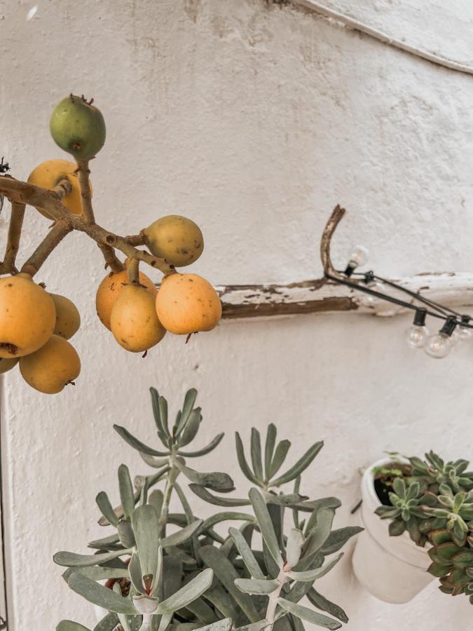 Apartamento C-Alma En El Corazon De Vejer Lejlighed Vejer de la Frontera Eksteriør billede